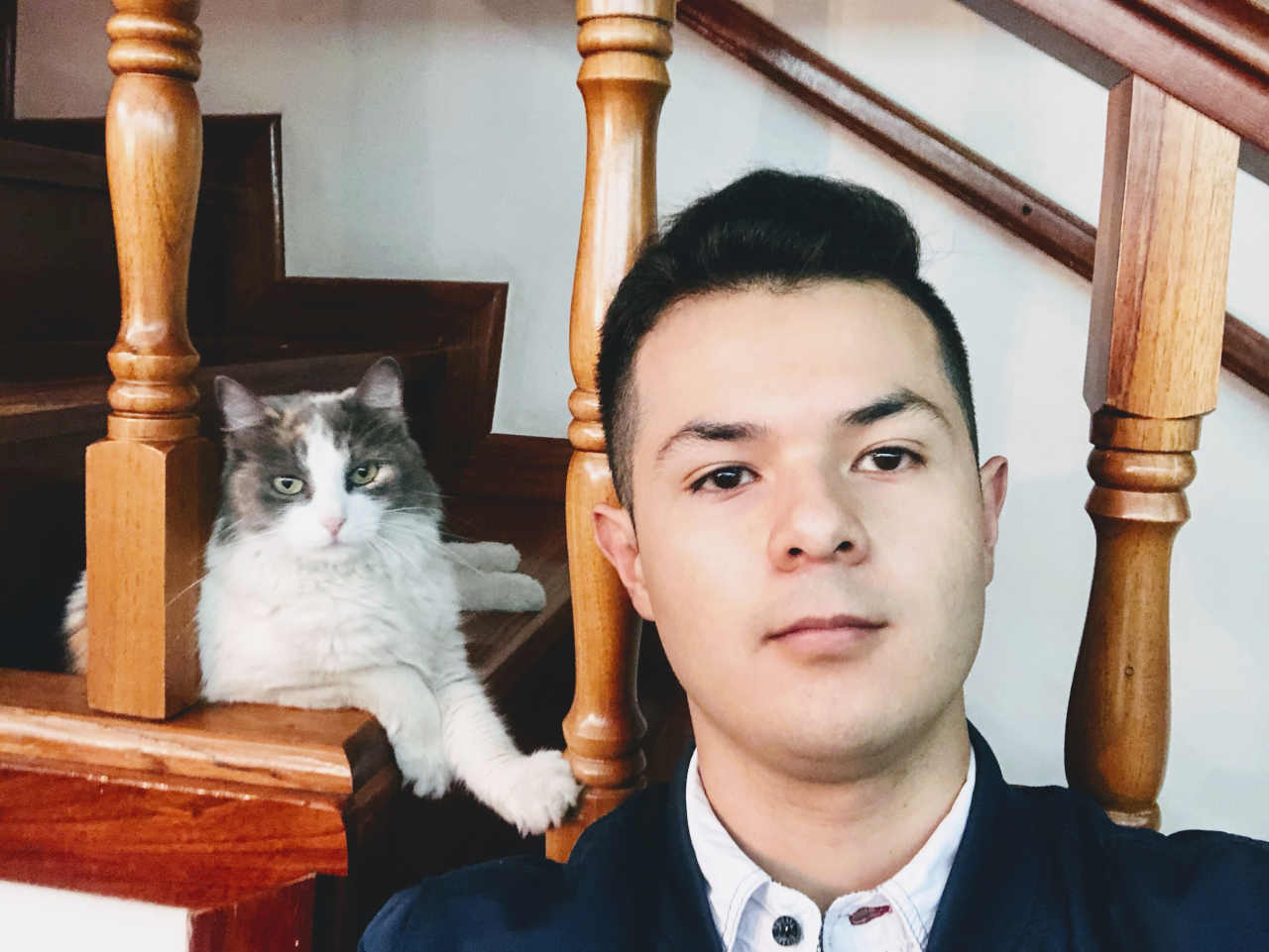 Junior developer and his cat